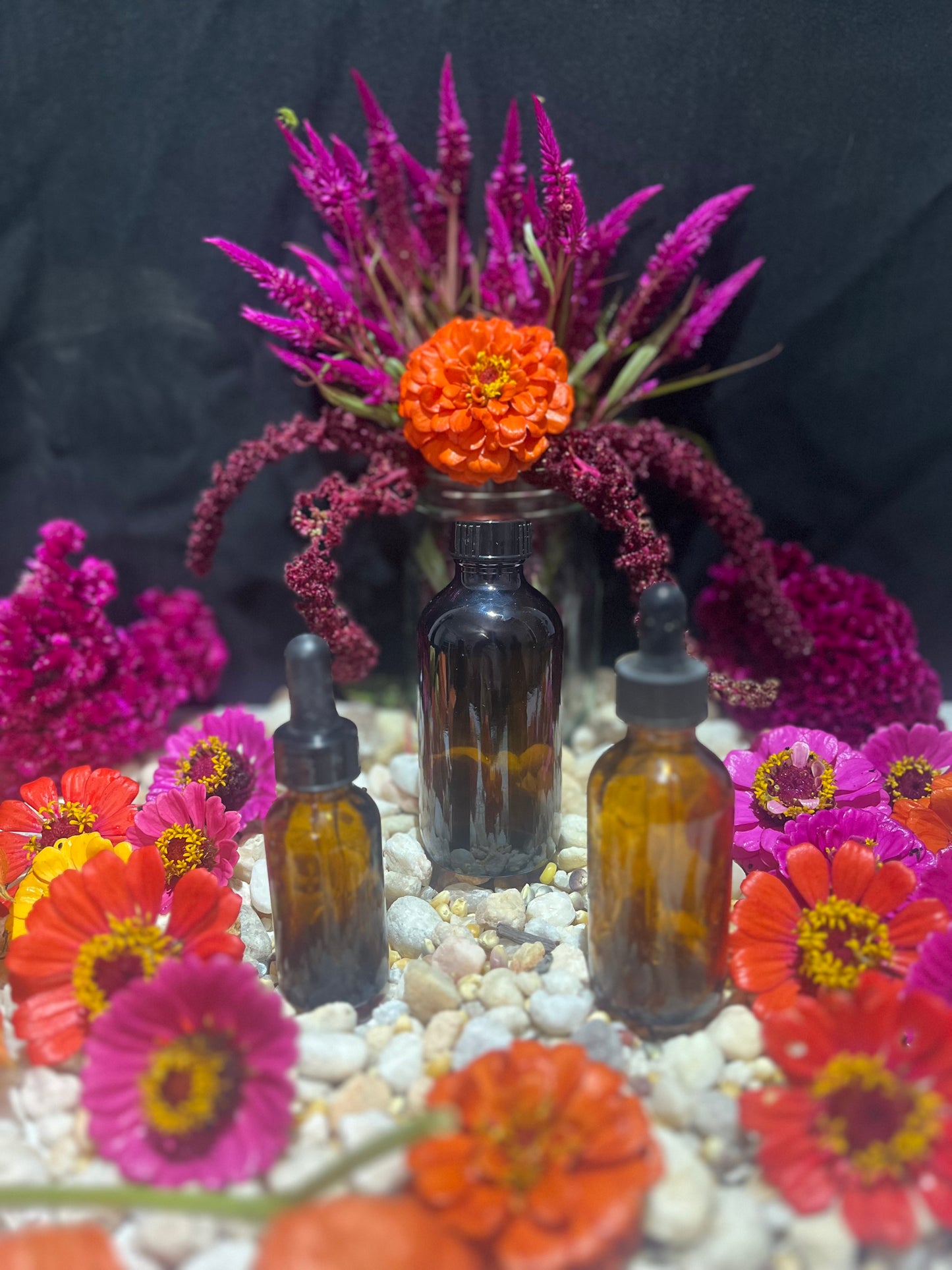 Oregano Single Herb Tincture