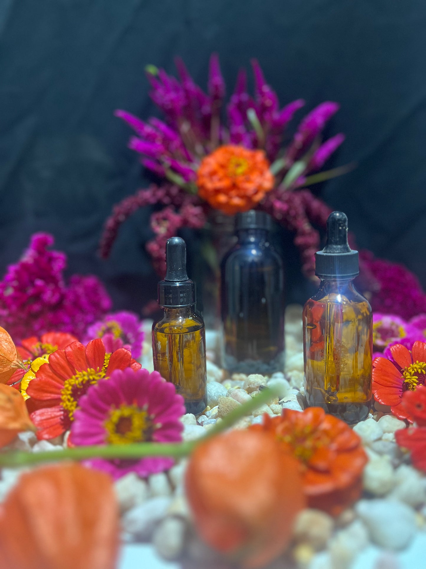 Oregano Single Herb Tincture