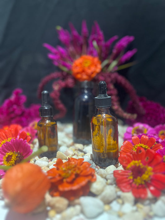 Oregano Single Herb Tincture